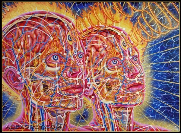reconnec