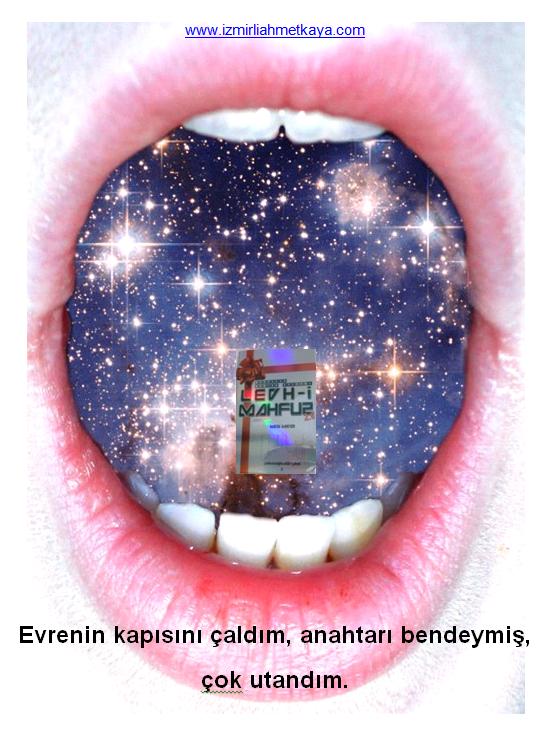 lmev