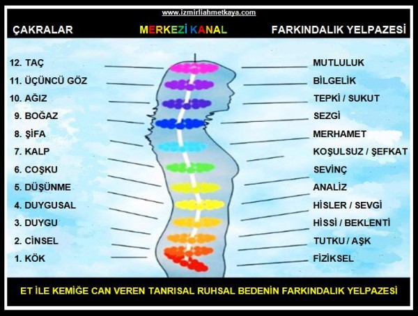 1amerkezi