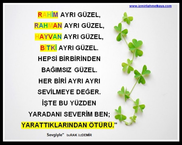 1ayarat