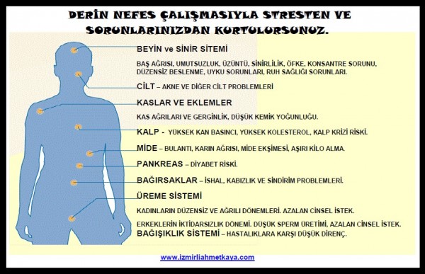 1anefesderin
