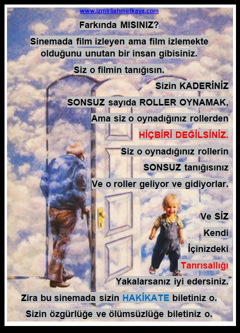 1aroller