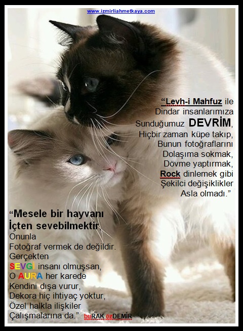 devrim