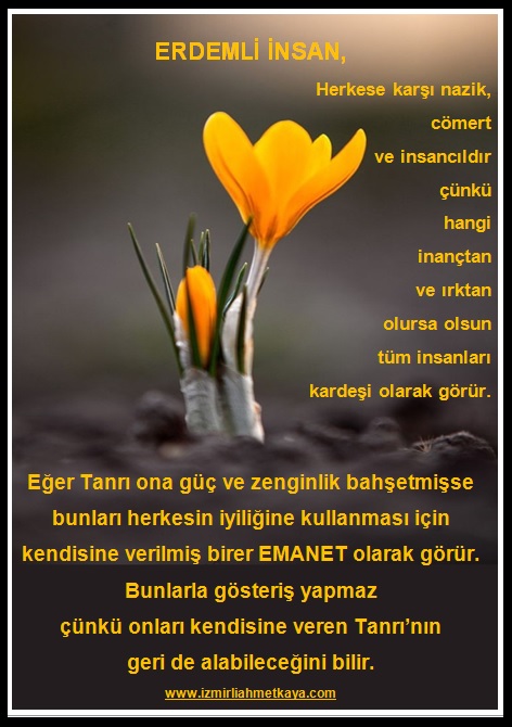 erdemli